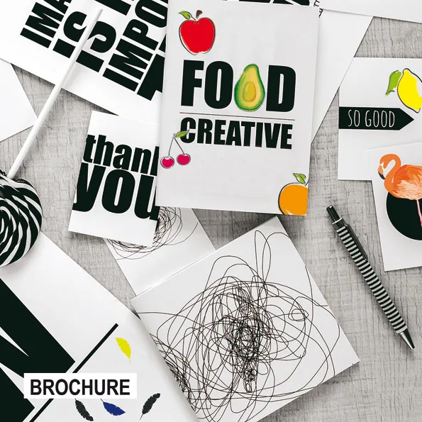 Plaquettes, flyers et brochures réalisés par Reylec